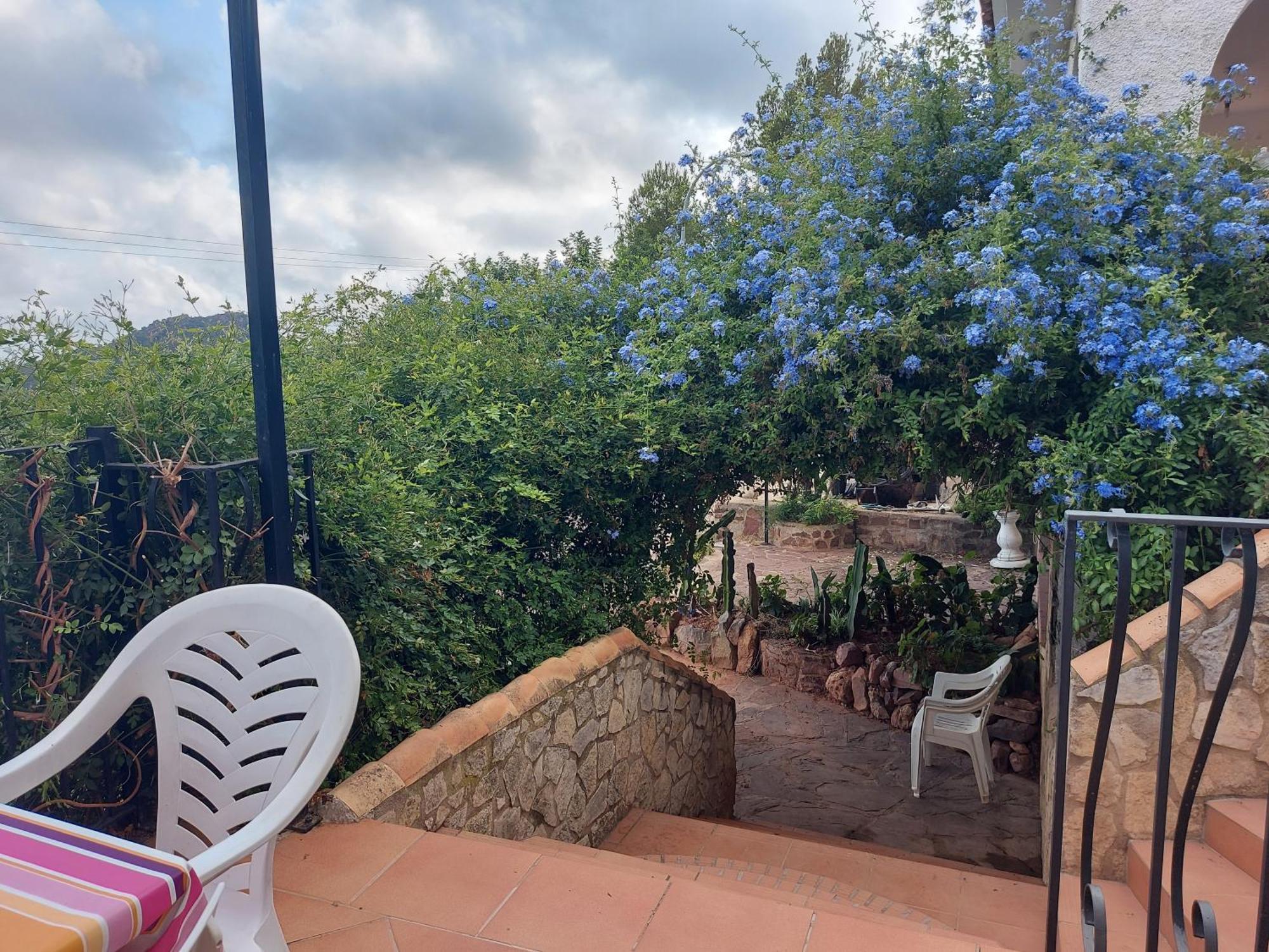 Apartamentos Christina Benicàssim Екстериор снимка